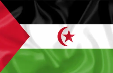 Palestijnse vlag met horizontale banen in zwart, wit en groen en een rode driehoek links.