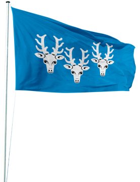 Flags province capitals