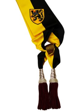 Schepensjerp